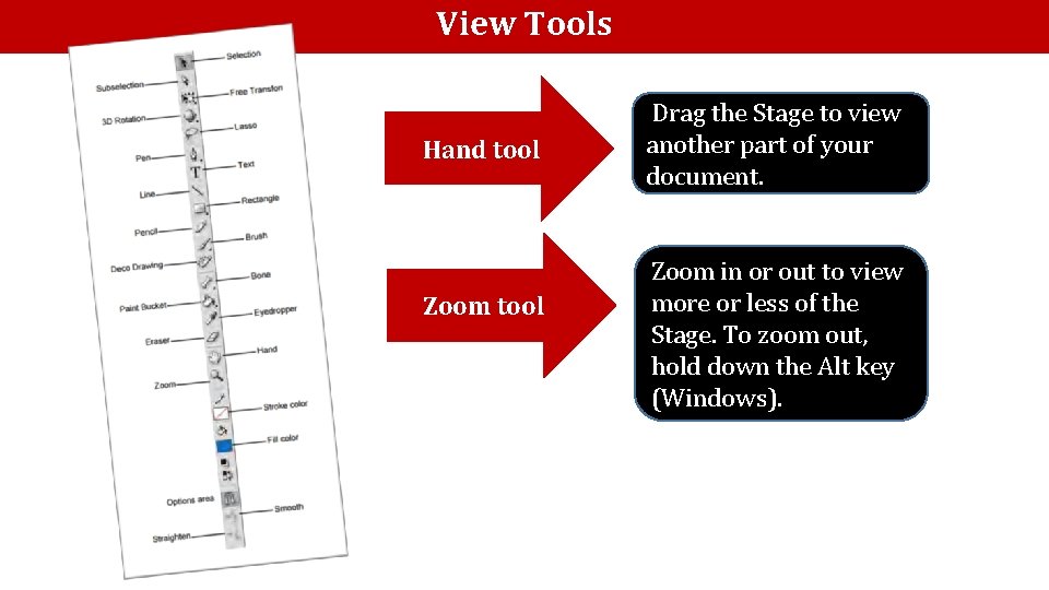 View Tools Hand tool Zoom tool Drag the Stage to view another part of View Tools Hand tool Zoom tool Drag the Stage to view another part of