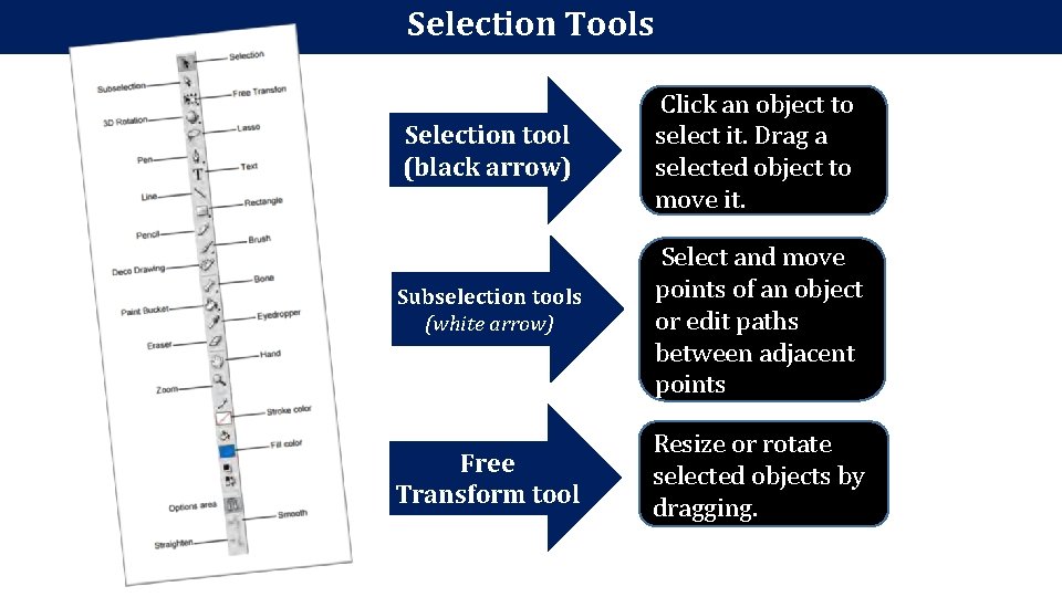 Selection Tools Selection tool (black arrow) Click an object to select it. Drag a Selection Tools Selection tool (black arrow) Click an object to select it. Drag a