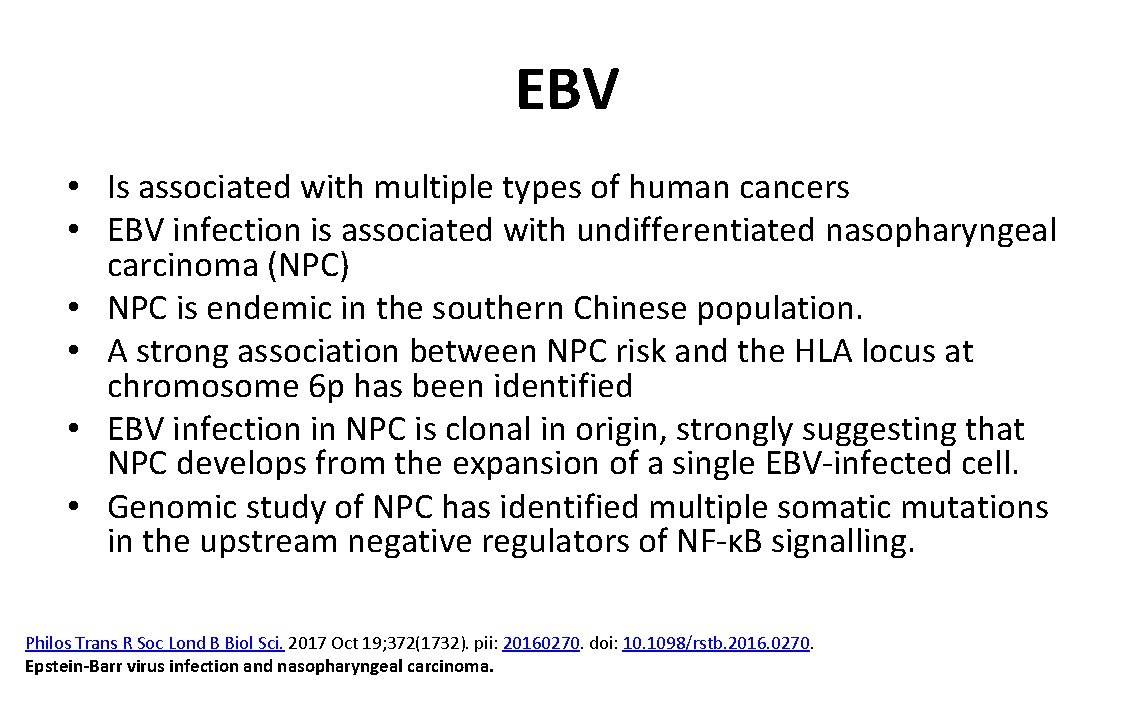 EBV • Is associated with multiple types of human cancers • EBV infection is
