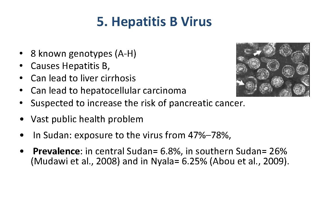 5. Hepatitis B Virus • • • 8 known genotypes (A-H) Causes Hepatitis B,
