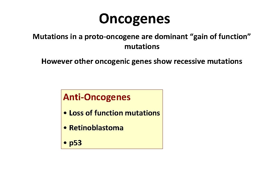 Oncogenes Mutations in a proto-oncogene are dominant “gain of function” mutations However other oncogenic