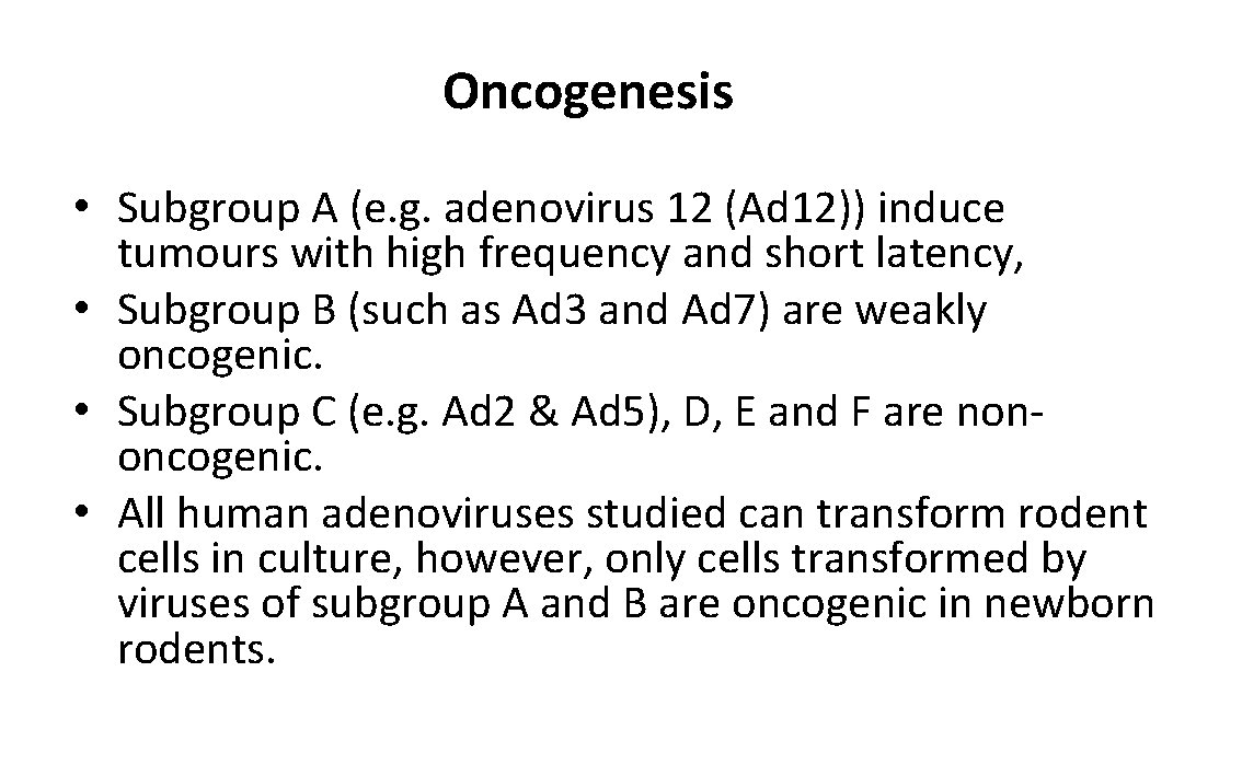 Oncogenesis • Subgroup A (e. g. adenovirus 12 (Ad 12)) induce tumours with high