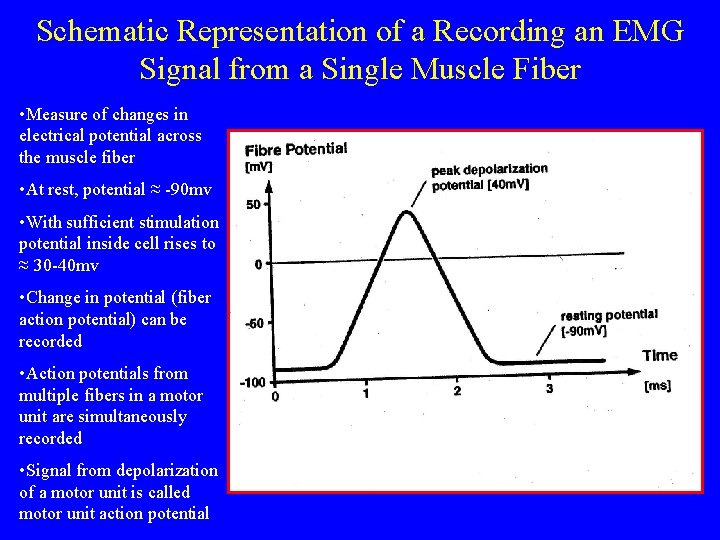 Schematic Representation of a Recording an EMG Signal from a Single Muscle Fiber •