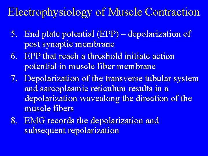 Electrophysiology of Muscle Contraction 5. End plate potential (EPP) – depolarization of post synaptic