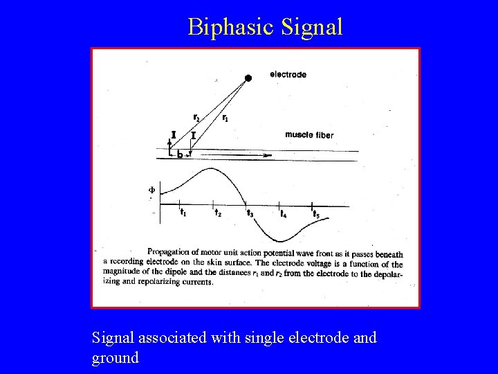 Biphasic Signal associated with single electrode and ground 