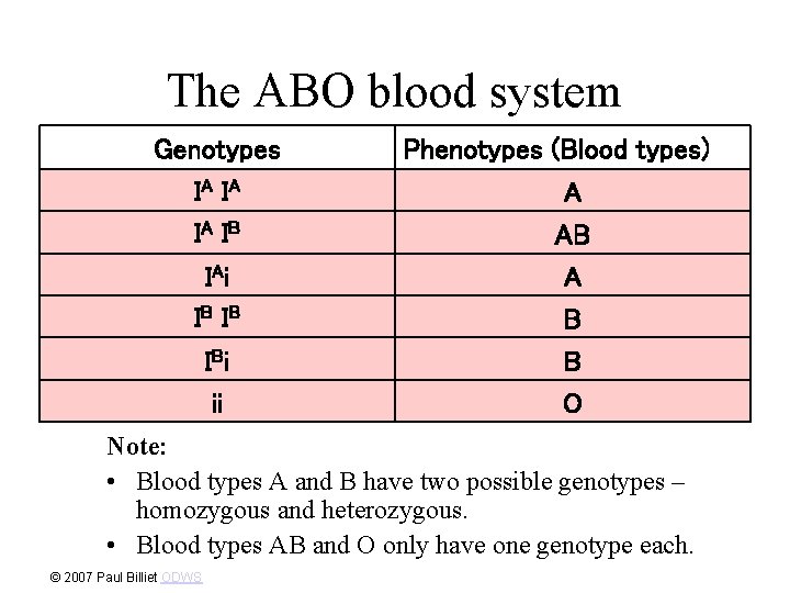 The ABO blood system Genotypes IA I A IA I B IA i IB