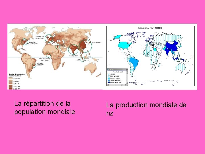 La répartition de la population mondiale La production mondiale de riz 