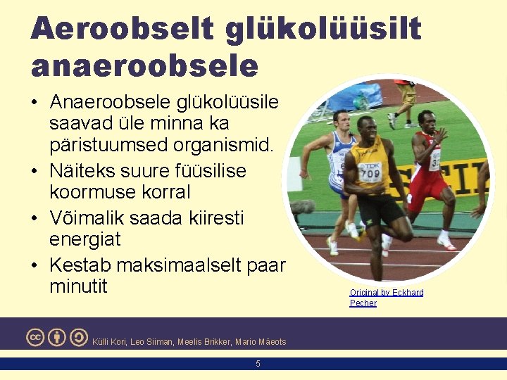 Aeroobselt glükolüüsilt anaeroobsele • Anaeroobsele glükolüüsile saavad üle minna ka päristuumsed organismid. • Näiteks