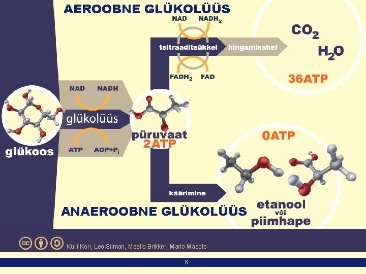 AEROOBNE GLÜKOLÜÜS ANAEROOBNE GLÜKOLÜÜS Külli Kori, Leo Siiman, Meelis Brikker, Mario Mäeots 6 