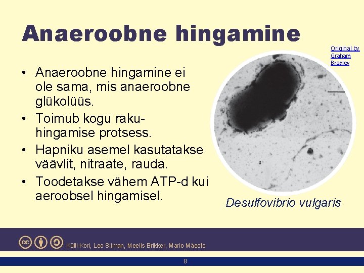 Anaeroobne hingamine • Anaeroobne hingamine ei ole sama, mis anaeroobne glükolüüs. • Toimub kogu