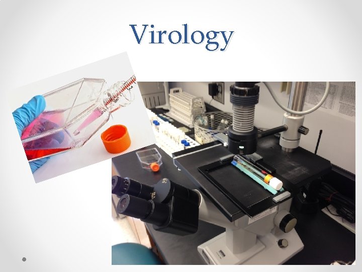 Virology 