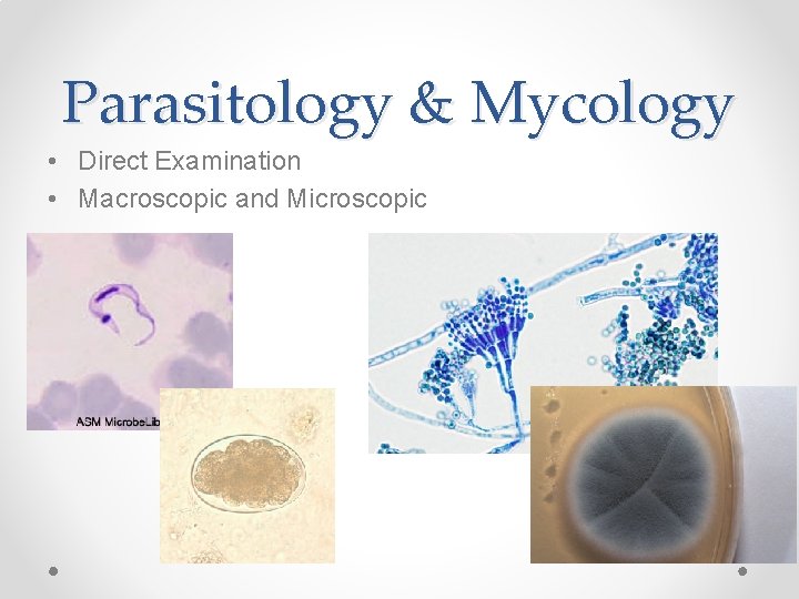 Parasitology & Mycology • Direct Examination • Macroscopic and Microscopic 