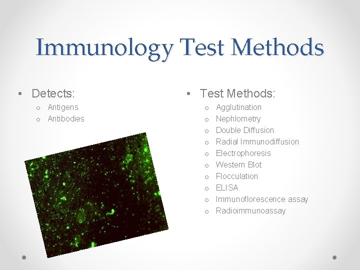Immunology Test Methods • Detects: o Antigens o Antibodies • Test Methods: o o