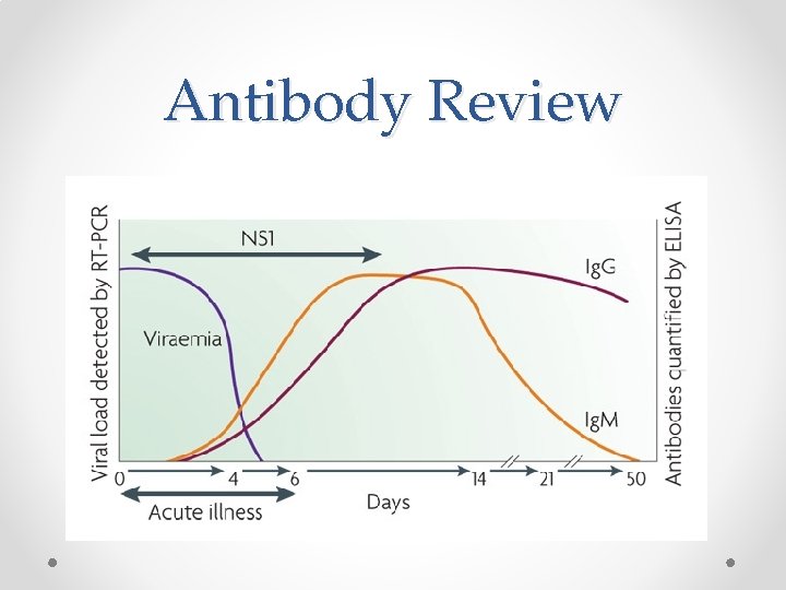 Antibody Review 
