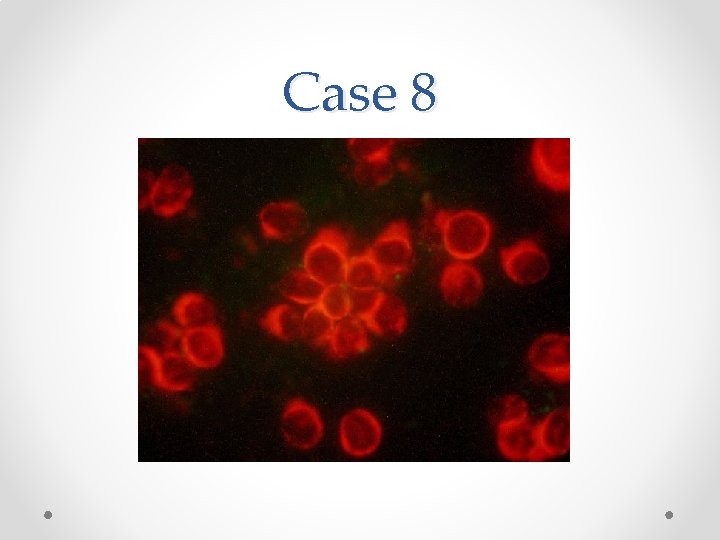 Case 8 