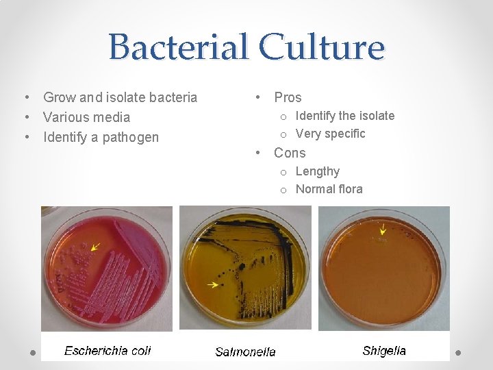 Bacterial Culture • Grow and isolate bacteria • Various media • Identify a pathogen