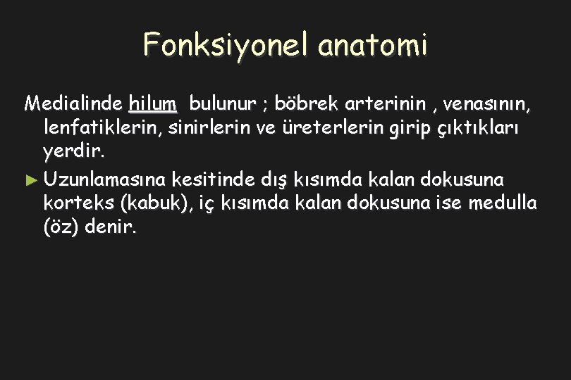 Fonksiyonel anatomi Medialinde hilum bulunur ; böbrek arterinin , venasının, lenfatiklerin, sinirlerin ve üreterlerin