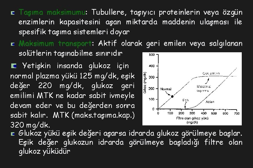 Taşıma maksimumu: Tubullere, taşıyıcı proteinlerin veya özgün enzimlerin kapasitesini aşan miktarda maddenin ulaşması ile