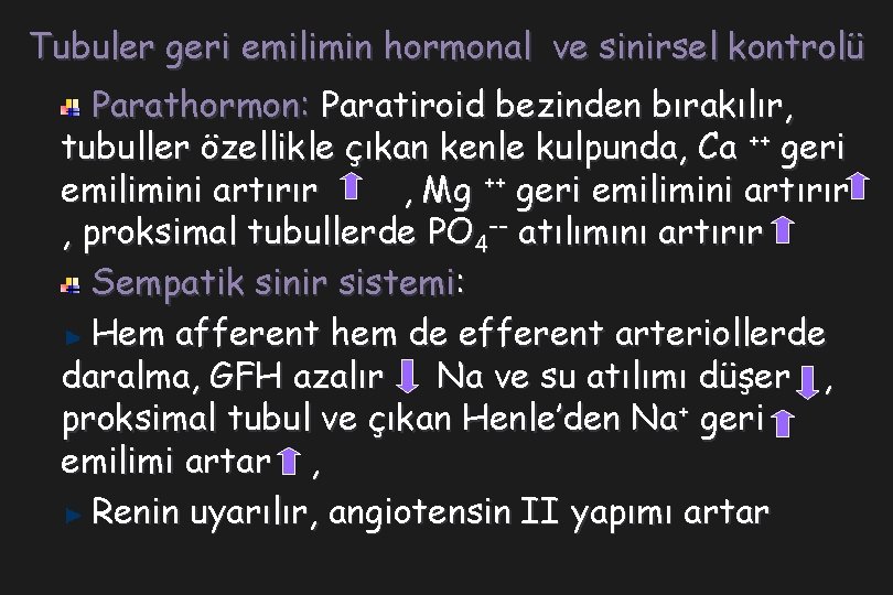 Tubuler geri emilimin hormonal ve sinirsel kontrolü Parathormon: Paratiroid bezinden bırakılır, tubuller özellikle çıkan