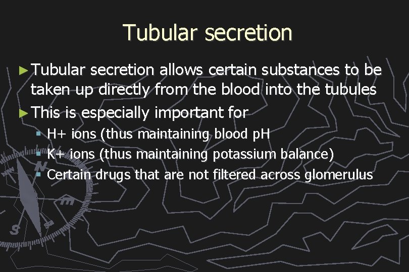 Tubular secretion ► Tubular secretion allows certain substances to be taken up directly from