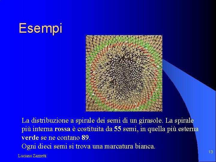 Esempi La distribuzione a spirale dei semi di un girasole. La spirale più interna