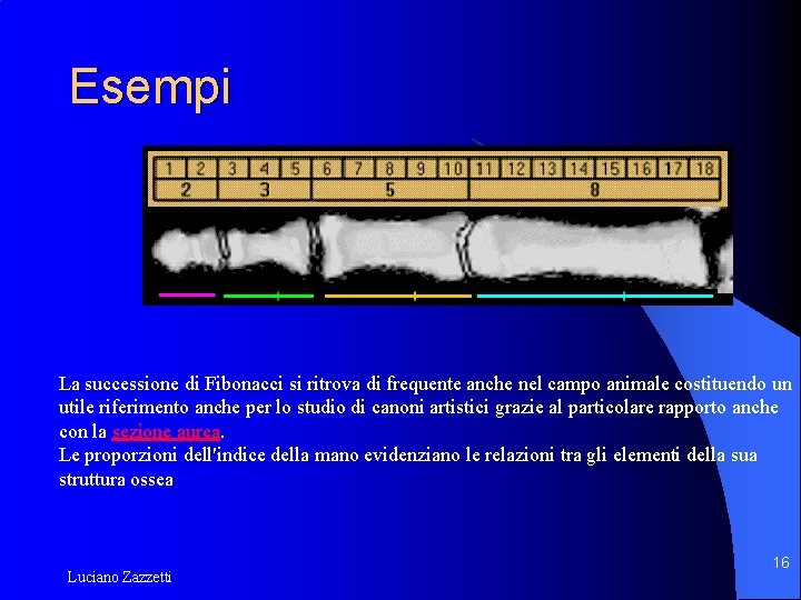 Esempi La successione di Fibonacci si ritrova di frequente anche nel campo animale costituendo