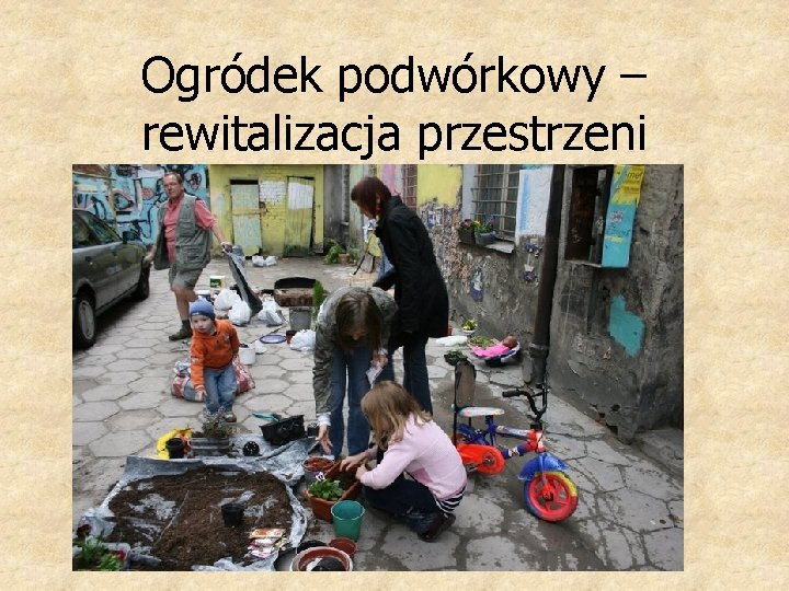 Ogródek podwórkowy – rewitalizacja przestrzeni 