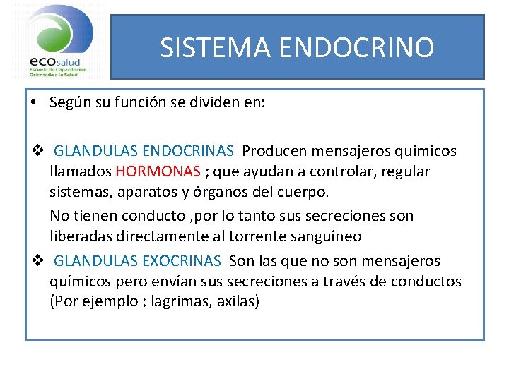 SISTEMA ENDOCRINO • Según su función se dividen en: v GLANDULAS ENDOCRINAS Producen mensajeros