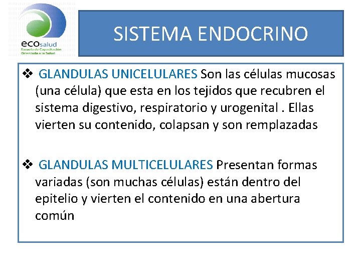 SISTEMA ENDOCRINO v GLANDULAS UNICELULARES Son las células mucosas (una célula) que esta en