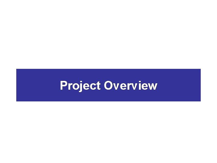 Project Overview 