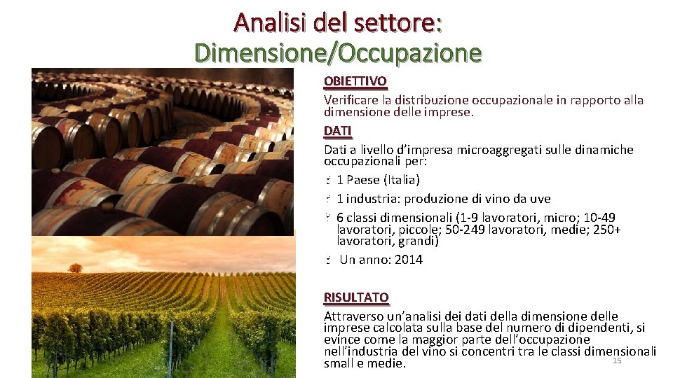 Analisi del settore: Dimensione/Occupazione OBIETTIVO Verificare la distribuzione occupazionale in rapporto alla dimensione delle