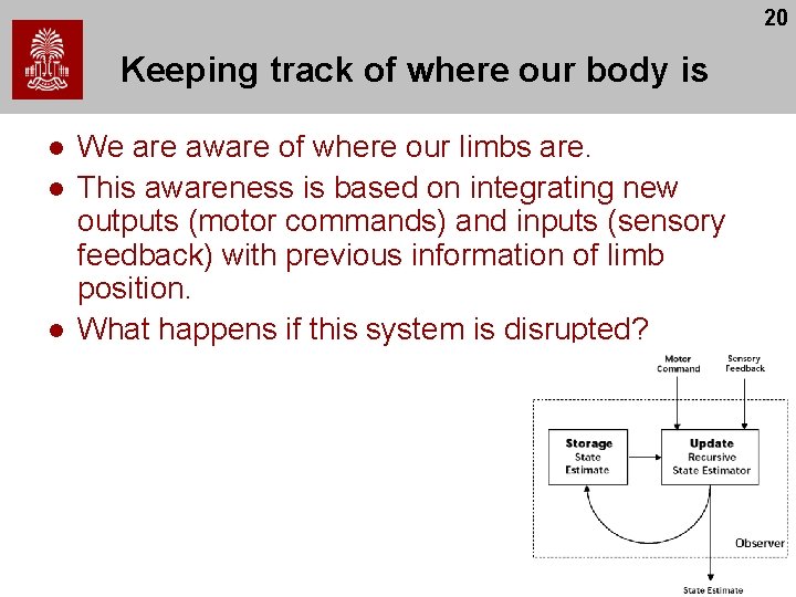 20 Keeping track of where our body is l l l We are aware