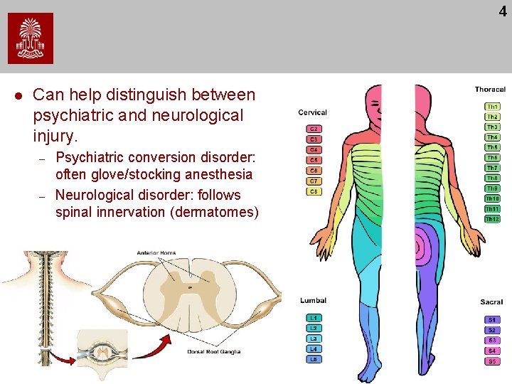 4 l Can help distinguish between psychiatric and neurological injury. – – Psychiatric conversion