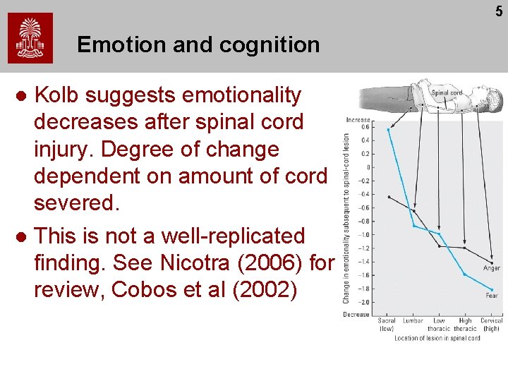 5 Emotion and cognition Kolb suggests emotionality decreases after spinal cord injury. Degree of
