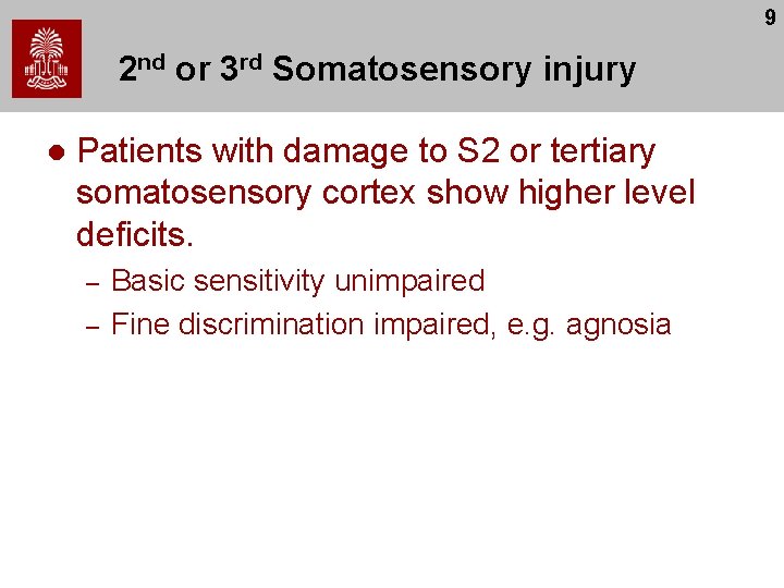 9 2 nd or 3 rd Somatosensory injury l Patients with damage to S