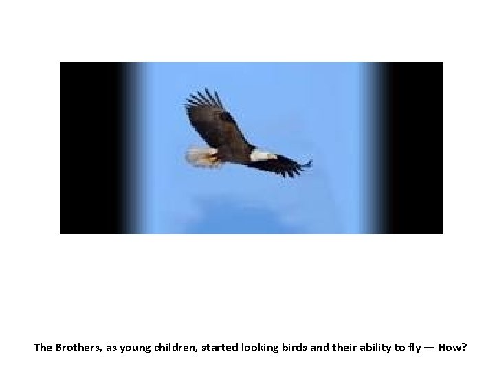 The Brothers, as young children, started looking birds and their ability to fly —