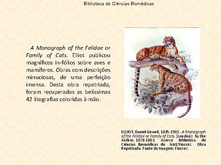 Biblioteca de Ciências Biomédicas A Monograph of the Felidae or Family of Cats. Elliot