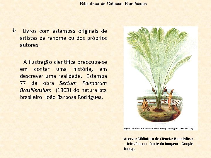 Biblioteca de Ciências Biomédicas C Livros com estampas originais de artistas de renome ou