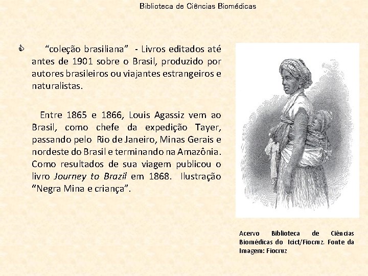 Biblioteca de Ciências Biomédicas C “coleção brasiliana” - Livros editados até antes de 1901