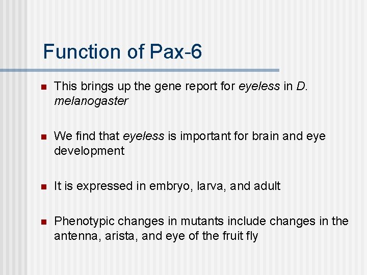 Function of Pax-6 n This brings up the gene report for eyeless in D.