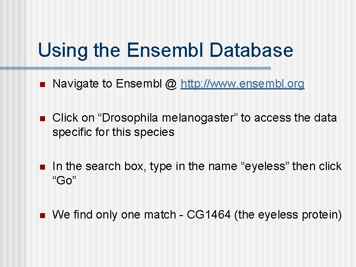Using the Ensembl Database n Navigate to Ensembl @ http: //www. ensembl. org n