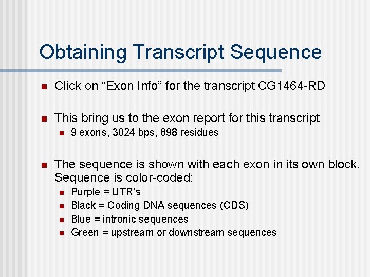 Obtaining Transcript Sequence n Click on “Exon Info” for the transcript CG 1464 -RD