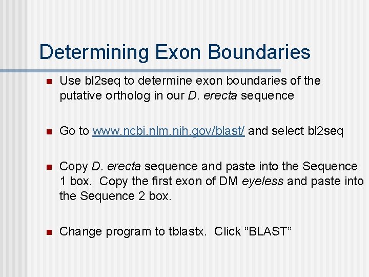 Determining Exon Boundaries n Use bl 2 seq to determine exon boundaries of the