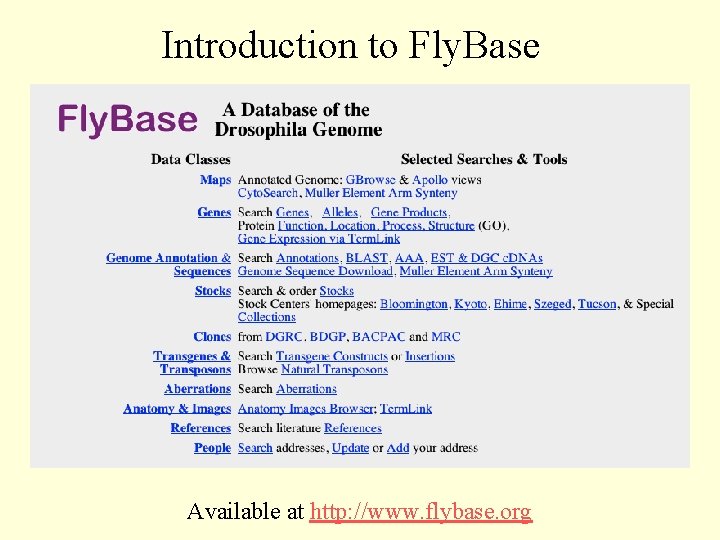 Introduction to Fly. Base Available at http: //www. flybase. org 