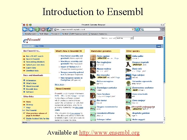Introduction to Ensembl Available at http: //www. ensembl. org 