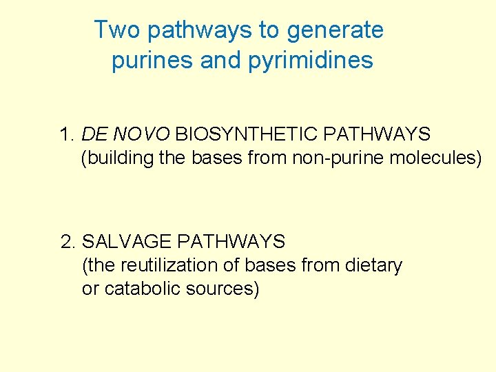 Two pathways to generate purines and pyrimidines 1. DE NOVO BIOSYNTHETIC PATHWAYS (building the