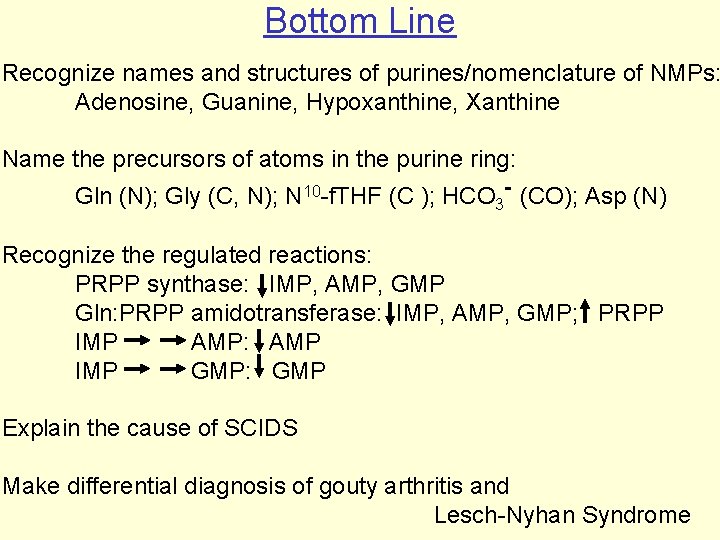 Bottom Line Recognize names and structures of purines/nomenclature of NMPs: Adenosine, Guanine, Hypoxanthine, Xanthine
