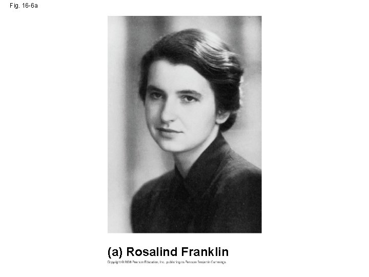 Fig. 16 -6 a (a) Rosalind Franklin 