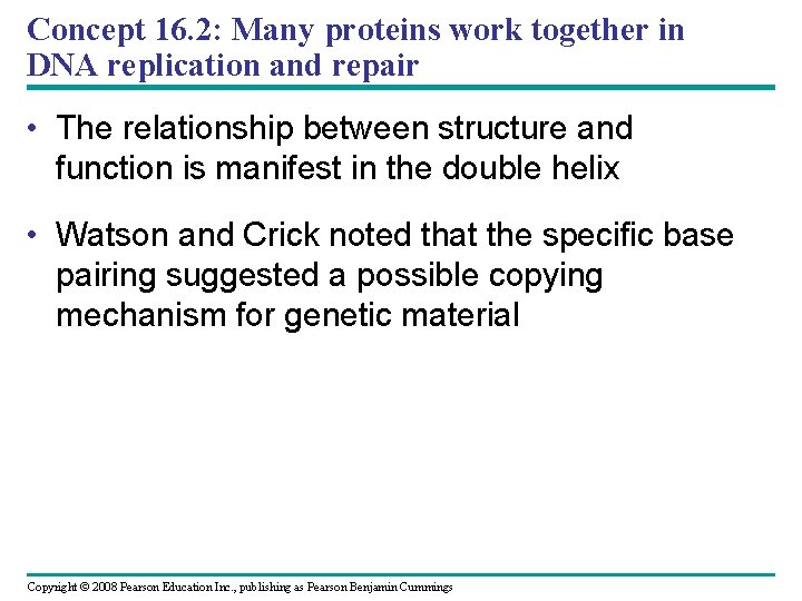 Concept 16. 2: Many proteins work together in DNA replication and repair • The