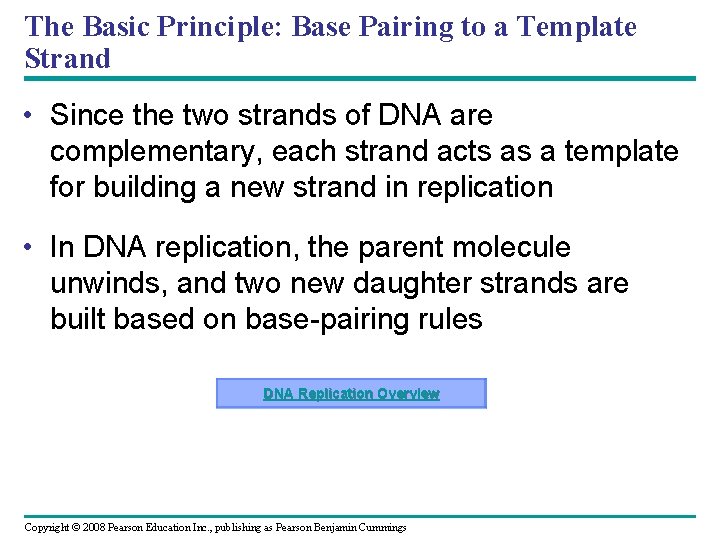 The Basic Principle: Base Pairing to a Template Strand • Since the two strands